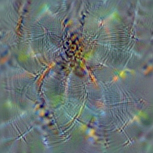 n01773157 black and gold garden spider, Argiope aurantia